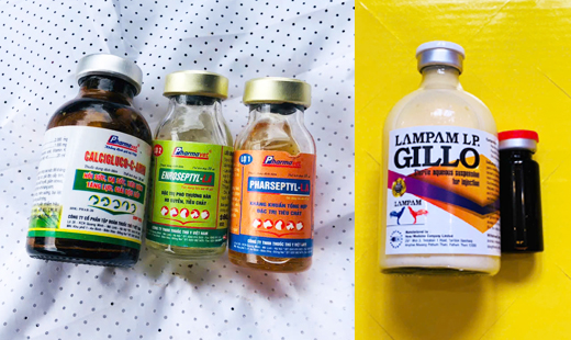 Bộ thuốc trị bệnh tụ huyết trùng, sốt bại liệt và thương hàn cho gà đá