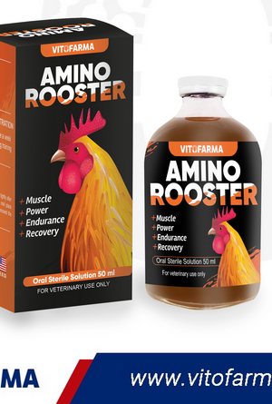 Amino Rooster Vitofarma