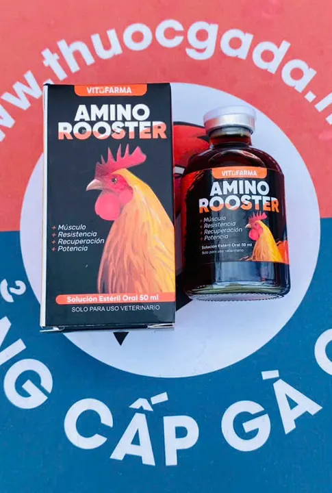 Amino Rooster