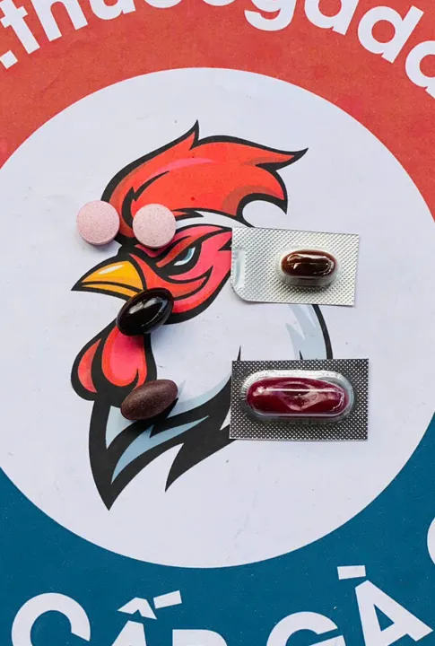 Combo thuốc nuôi gà đá chế độ 7 ngày