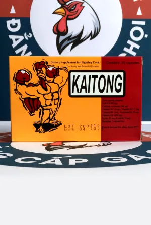 KaiTong