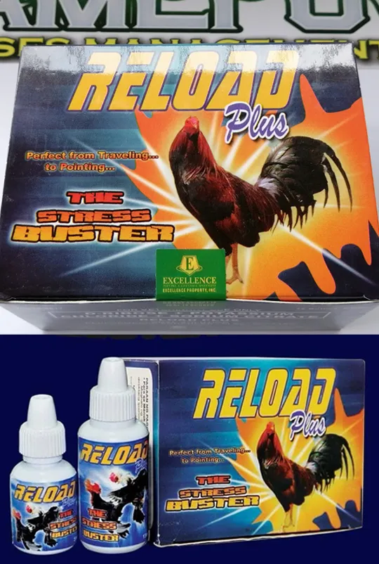 Reload Plus